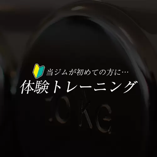 体験トレーニング